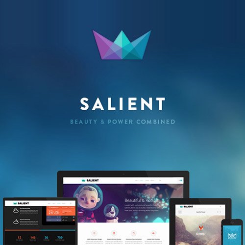 Salient – Çok Amaçlı Tema